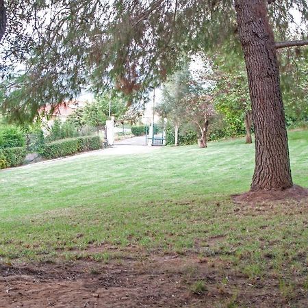 Smila Oasis Olympia Apartments מראה חיצוני תמונה