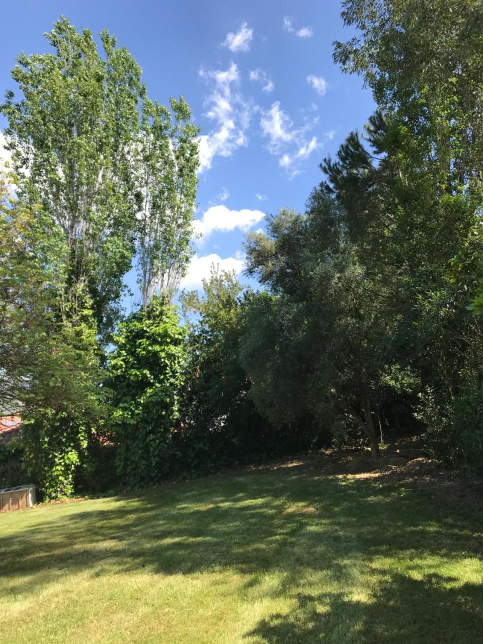 Smila Oasis Olympia Apartments מראה חיצוני תמונה